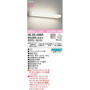 (LINE�N�[�|���L)�I�[�f���b�N ODELIC OB255245BR LED�u���P�b�g