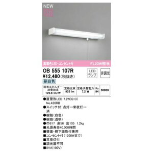 (LINE�N�[�|���L)�I�[�f���b�N ODELIC OB555107R �����v�ʍ���