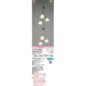 (LINE�N�[�|���L)�I�[�f���b�N ODELIC OC079265BR �����v�ʍ���