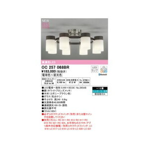 (LINE�N�[�|���L)�I�[�f���b�N ODELIC OC257068BR �����v�ʍ���