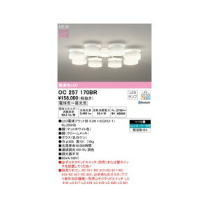 (LINE�N�[�|���L)�I�[�f���b�N ODELIC OC257170BR �����v�ʍ���