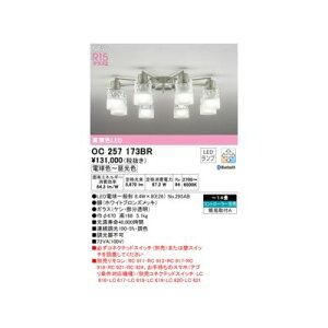 (LINE�N�[�|���L)�I�[�f���b�N ODELIC OC257173BR �����v�ʍ���