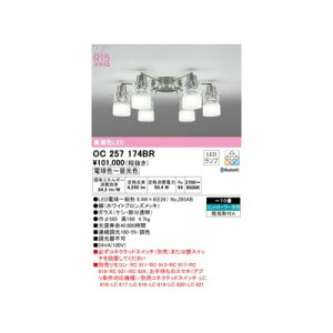 (LINE�N�[�|���L)�I�[�f���b�N ODELIC OC257174BR �����v�ʍ���