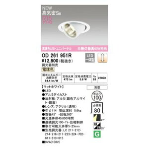 (LINE�N�[�|���L)�I�[�f���b�N ODELIC OD261951R LED�_�E�����C�g