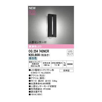 楽天市場】オーデリック og254 534（ライト・照明器具｜インテリア 