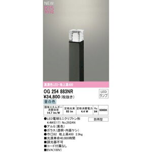 I[fbN ODELIC OG254883NR vʍ