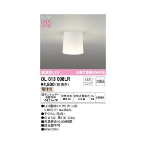 (LINE�N�[�|���L)�I�[�f���b�N ODELIC OL013006LR �����v�ʍ���