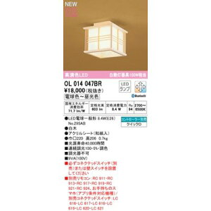 I[fbN ODELIC OL014047BR vʍ