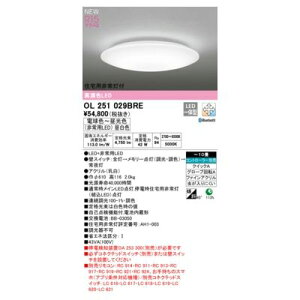 y12/5IIōő100|CgobNzI[fbN ODELIC OL251029BRE LEDV[OCg