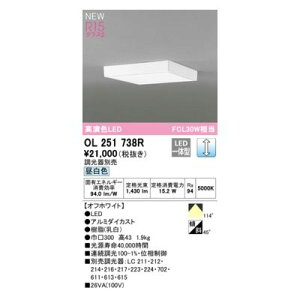 (LINE�N�[�|���L)�I�[�f���b�N ODELIC OL251738R LED�V�[�����O