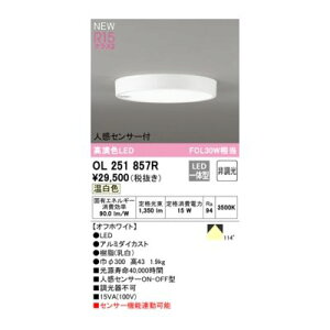 I[fbN ODELIC OL251857R LEDV[O