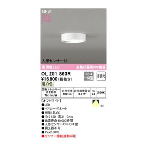 (LINE�N�[�|���L)�I�[�f���b�N ODELIC OL251863R LED�V�[�����O