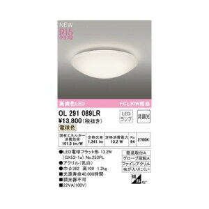 (LINE�N�[�|���L)�I�[�f���b�N ODELIC OL291089LR �����v�ʍ���