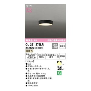 (LINE�N�[�|���L)�I�[�f���b�N ODELIC OL291279LR LED�V�[�����O���C�g