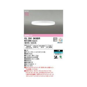 I[fbN ODELIC OL291363BR LEDV[O