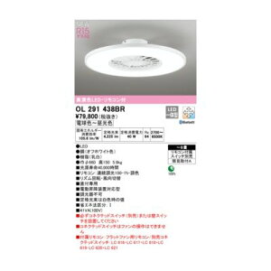 (LINE�N�[�|���L)�I�[�f���b�N ODELIC OL291438BR LED�V�[�����O���C�g