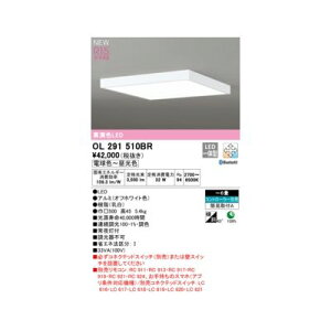 �I�[�f���b�N ODELIC OL291510BR LED�V�[�����O