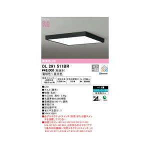 (LINE�N�[�|���L)�I�[�f���b�N ODELIC OL291511BR LED�V�[�����O