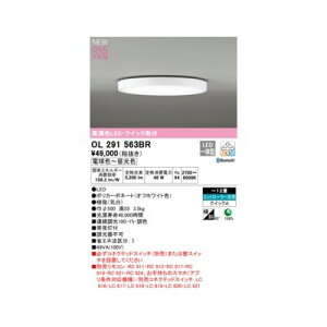 (LINE�N�[�|���L)�I�[�f���b�N ODELIC OL291563BR LED�V�[�����O���C�g