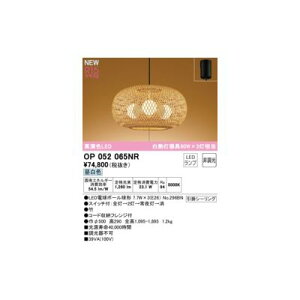 (LINE�N�[�|���L)�I�[�f���b�N ODELIC OP052065NR �����v�ʍ���