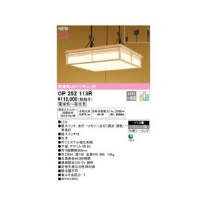 �I�[�f���b�N ODELIC OP252113R LED�y���_���g