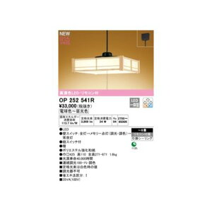 y12/10IIōő100|CgobNzI[fbN ODELIC OP252541R LEDy_g