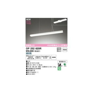 y12/10IIōő100|CgobNzI[fbN ODELIC OP252620R LEDy_g