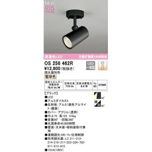 I[fbN ODELIC OS256462R LEDX|bgCg