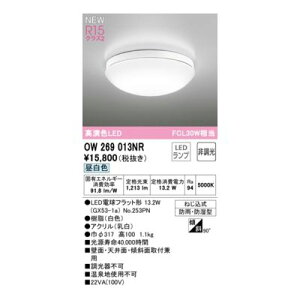 (LINE�N�[�|���L)�I�[�f���b�N ODELIC OW269013NR �����v�ʍ���