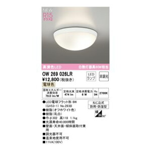 y12/10IIōő100|CgobNzI[fbN ODELIC OW269026LR vʍ