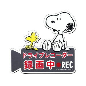 yF10zM SN61 y10z hCuR[_[}OlbgTC Xk[s[