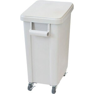 4971881160472 �~�[�p�L���X�^�[�y�[��45L �r����t �O���[