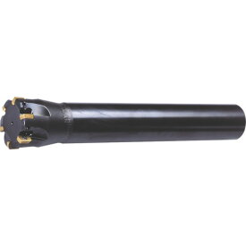 【即納在庫品】「直送」日立ツール ASRL2030R4 アルファ高送りラジアスASRタバ　ASRL2030R−4