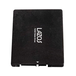 yF1zL-ISS256X5  sE[J[s 5Zbg [_[fBAeNm SSD 256GB LISS256X5