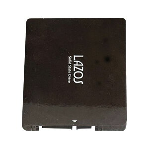 L-ISS512X5  sE[J[s 5Zbg [_[fBAeNm SSD 512GB LISS512X5