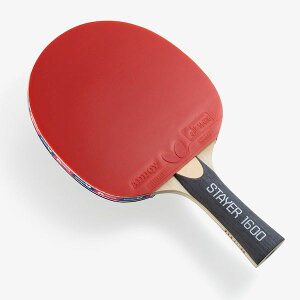 y12/5IIōő100|CgobNzo^tC Butterfly 4906901224568 XeC| 1600