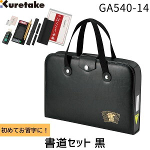 �y���[�݌ɕi�z���| GA540-14 �����Z�b�gGA-540S �� ���ʓ��� �K���Z�b�g ���w�� �����o�b�O �����P�[�X �o�b�O�^ ���|�� ���[���₷�� �K���o�b�O �M �� �n�` �������� ���� ���ʊw�K ������K 