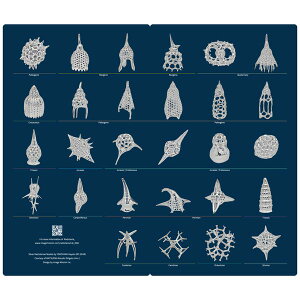 C[W~bV؋ CFMR001 U}XNP[X