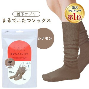 y[݌ɕizyyVLO1ʊlzIJg CTv ܂ł\bNX Vi 23`25cm C fB[X \bNX C ₦ ObY [\bNX 