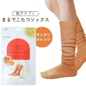 y[݌ɕizIJg CTv ܂ł\bNX T^IW 23`25cm C fB[X \bNX C ₦ ObY [\bNX \bNX 