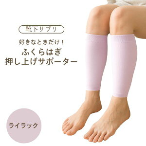 IJg { CTv DȂƂIӂ͂グT|[^[ M CbN ނݑ΍ ӂ͂ tBbg  d ԕs K PA y OȒP 