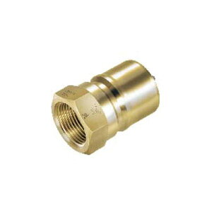 (LINE�N�[�|���L)�����H�� 6P-V-A BRASS CR SP�|V�J�v��TypeA 6PVABRASSCR