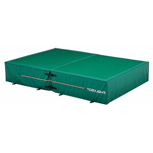 (LINE�N�[�|���L)�g�[�G�C���C�g TOEI LIGHT 4518891262095 G1556A �G�o�[�}�b�g�p�J�o�[ 200×300×40cm F