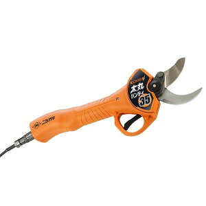 y11/25IIōő100|CgobNzjVKL N-939 ۃnfB[35 [d {̂̂ N939