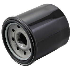 fCgi DAYTONA 35206 ICtB^[P[XE10PC 98739