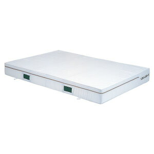 (LINE�N�[�|���L)�g�[�G�C���C�g TOEI LIGHT 4518891257213 G1457A 200×300×20cm