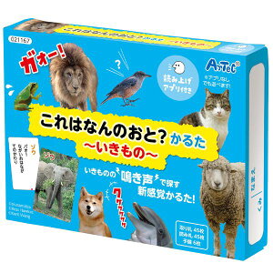 A[ebN ArTec 021167 ͂Ȃ̉H邽`́`