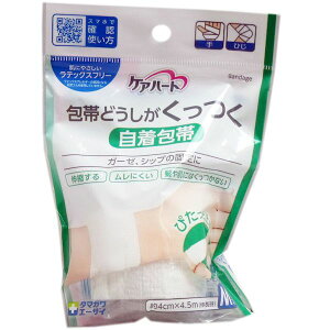 y12/5IIōő100|CgobNz4901957124824 PAn[g тǂ  MTCYyLZsz ʐq тǂ