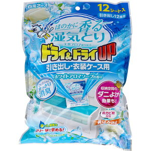 4902407393883 hChCUP oEߑP[Xp zCgA}\[v̍ 12V[gyLZsz