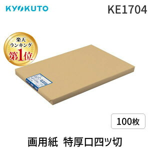 yyVLO1ʊlzy[݌ɕizLNgEEA\VGCc KE1704 p lc 100 {m[g lc؂ lb